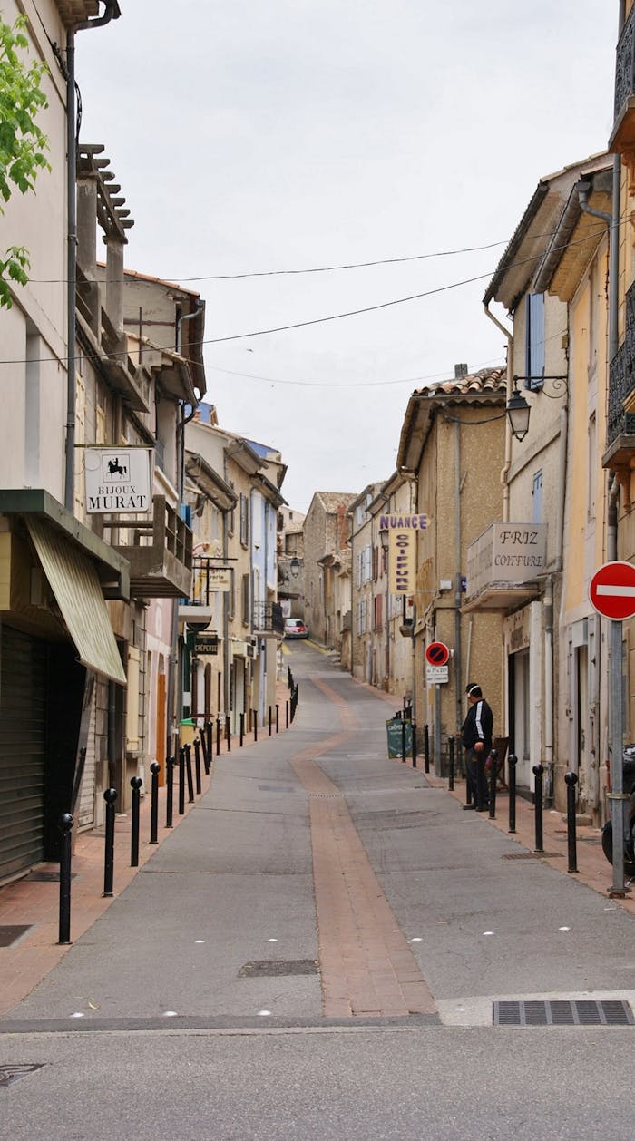 About Pexels Photo 35357656